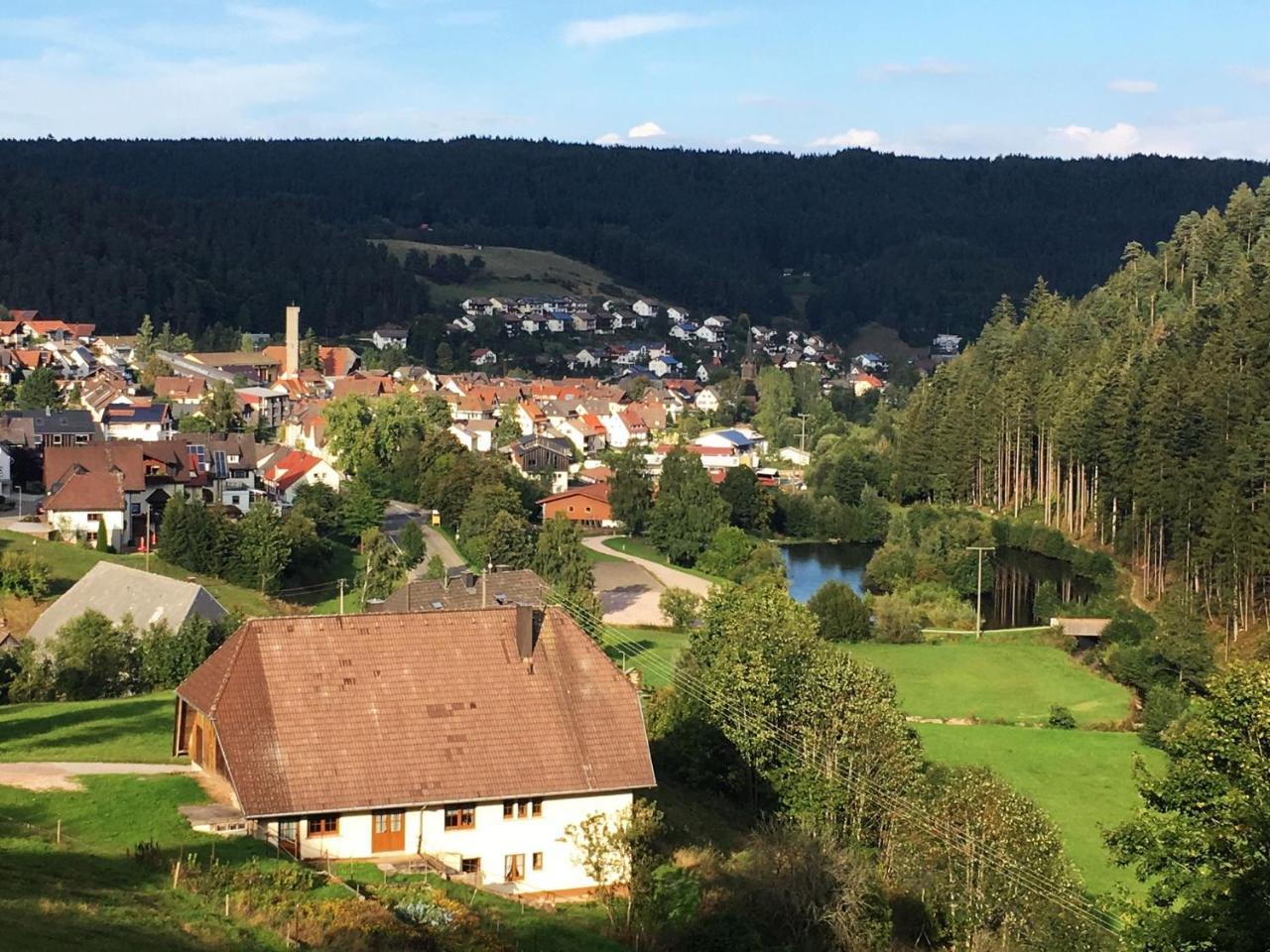 Hotel Schwarzwaldgasthaus Linde Schramberg Exterior foto