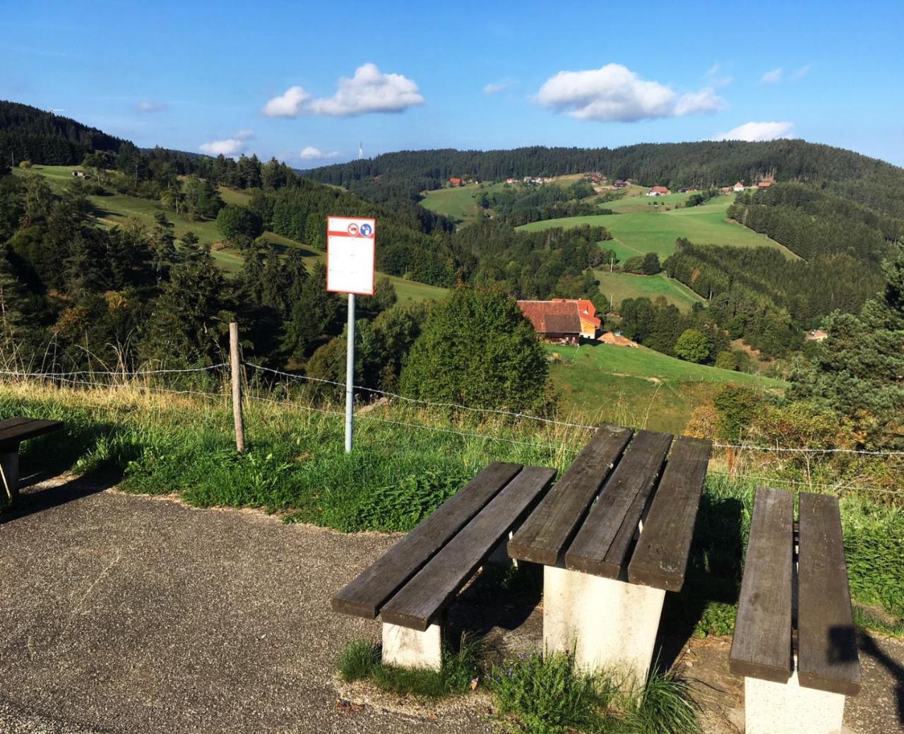 Hotel Schwarzwaldgasthaus Linde Schramberg Exterior foto